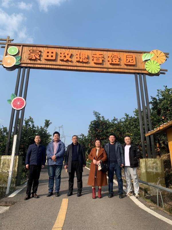 1646034285565552.png 三柑2.png