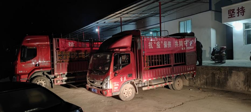 1649400271838447.png 三柑抗疫.png